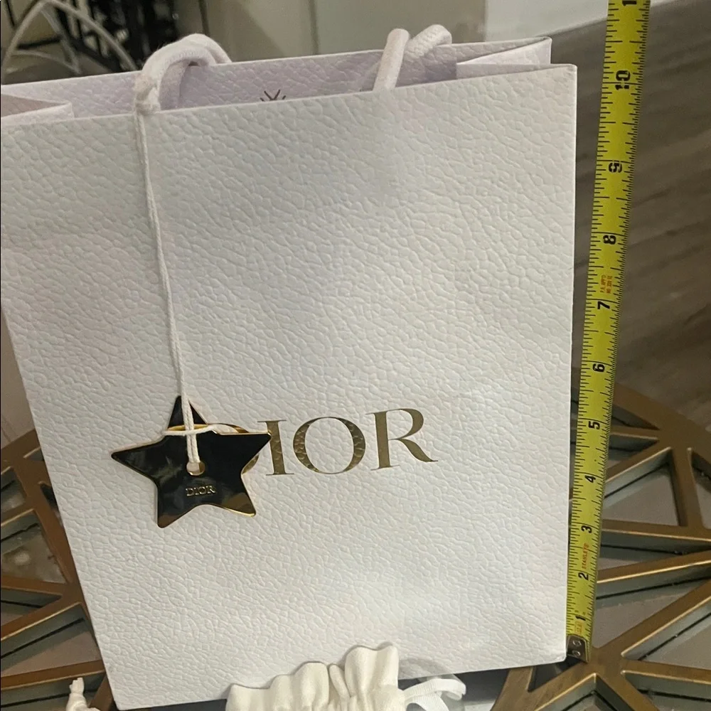 Dior Gift Bag - Picture 6 of 12